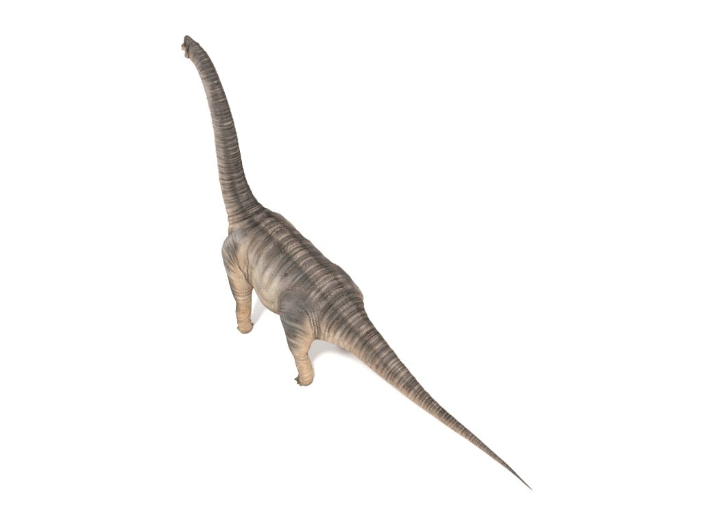 File:Long neck dino Long neck Brachiosaurus animation cartoon video game  sprite 3D model.png - Wikimedia Commons