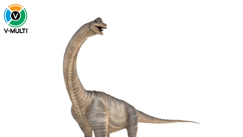 3D Model: Brachiosaurus Rigged