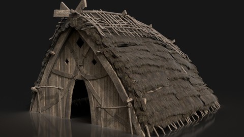 Viking Norseman House Cottage Hut Cabin Village Next Gen AAA