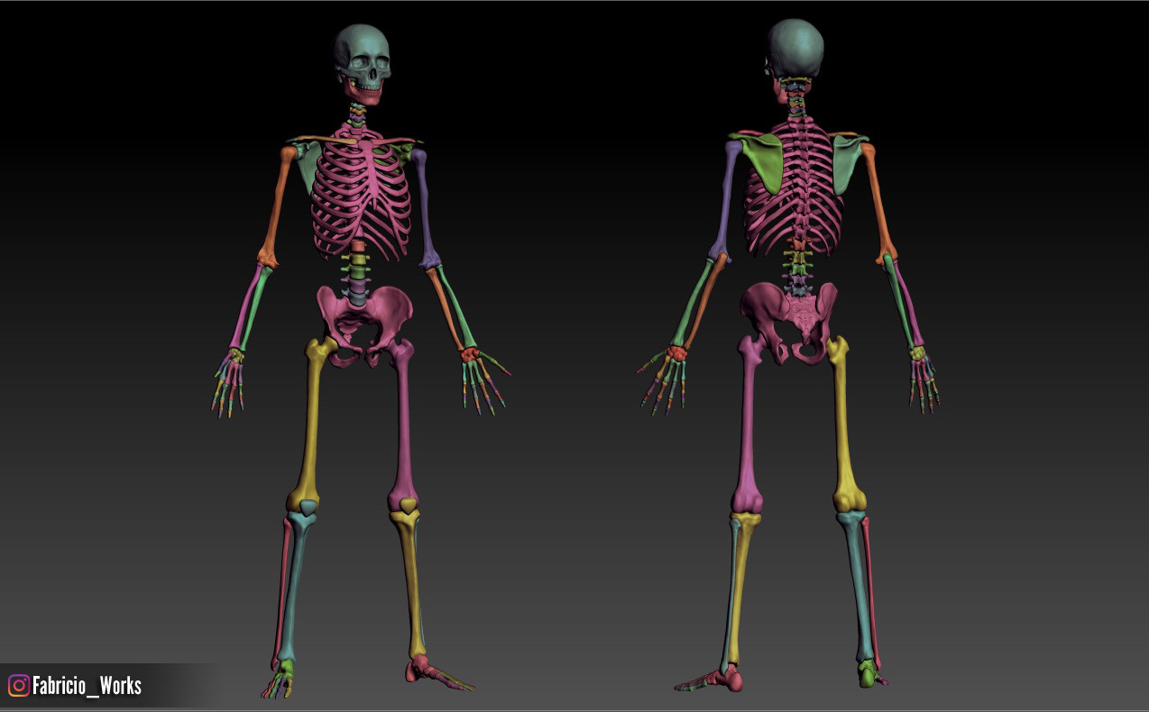 Human Skeleton in Characters - UE Marketplace