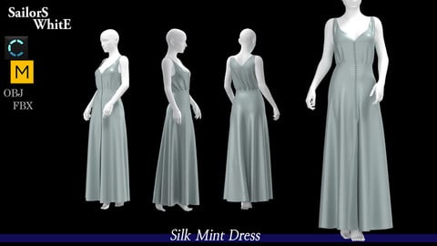 Silk Mint Dress