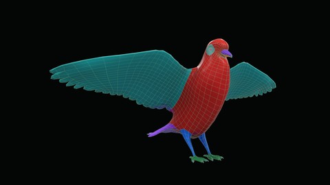 Pigeon BaseMesh