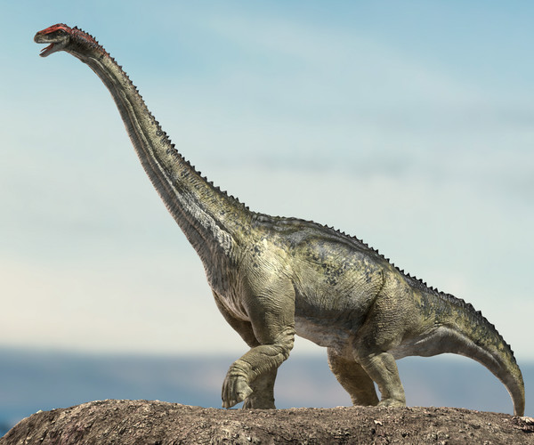 brontosaurus 3d