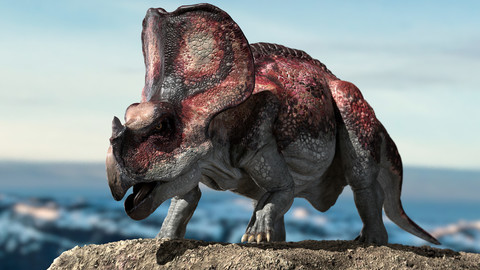 Protoceratops 3D Rigged