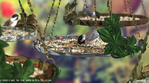 Feed The Birds: Pumpkin Feeders