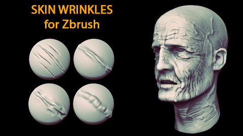 Skin Wrinkles for Zbrush