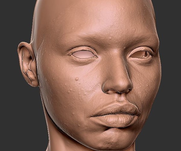 Female Head 3d Model Texture