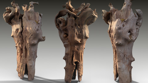 Twisted Tree Stump Scan