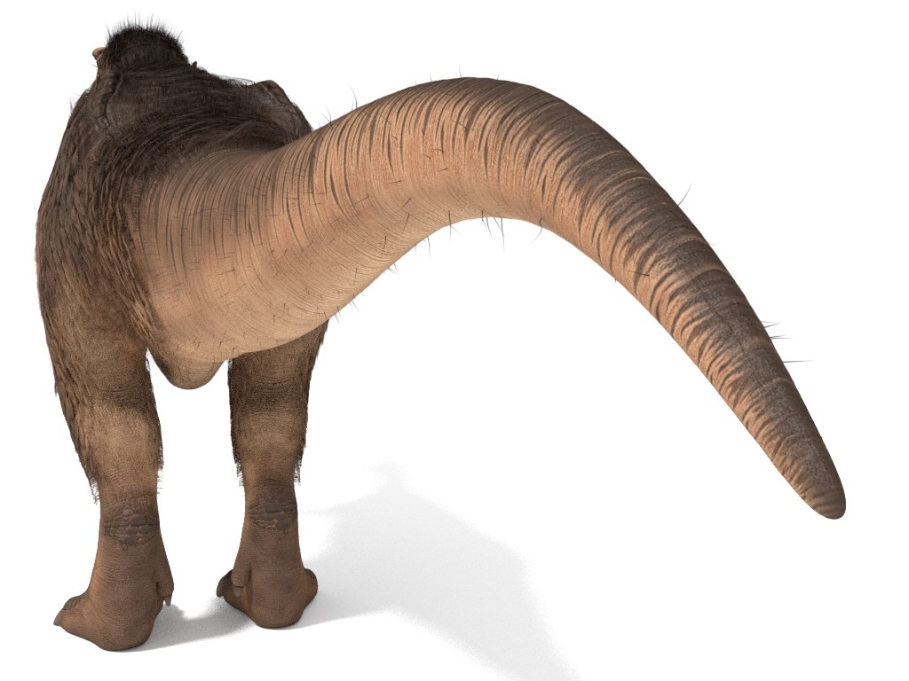 t rex with fur