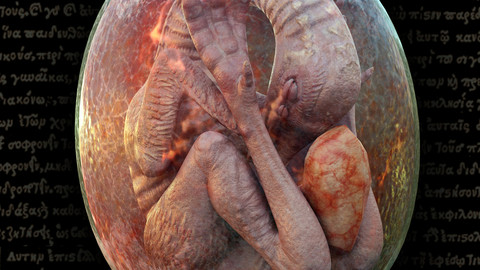 Alien Bird Fetus