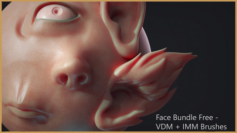 Zbrush - Free - Face IMM + VDM Bundle