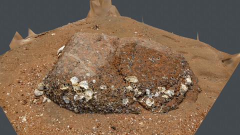 Photoscan_Beach Rock_0002_only HighPoly Mesh (16K Texture)