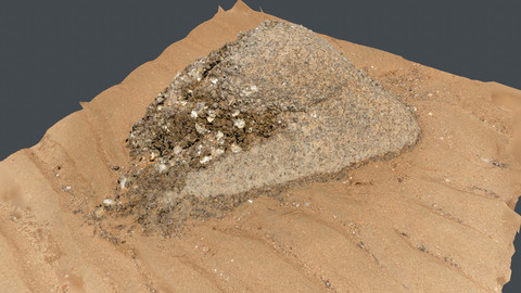 Photoscan_Beach Rock_0003_only HighPoly Mesh (16K Texture)