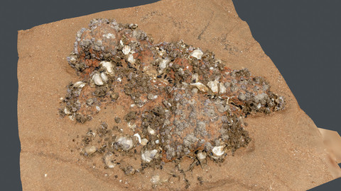 Photoscan_Beach Rock_0004_only HighPoly Mesh (16K Texture)