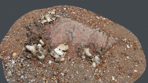 Photoscan_Beach Rock_0015_only HighPoly Mesh (16K Texture)