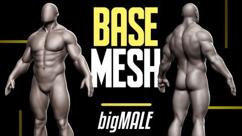 Basemesh Big Male