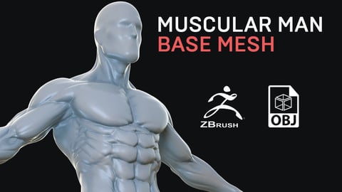 Muscular Man - Base Mesh