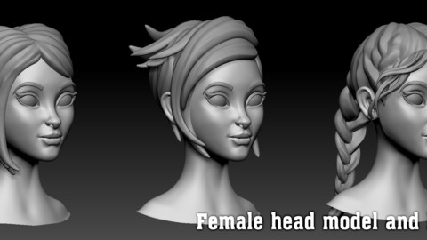 Female head model and hairstyle Zbrush