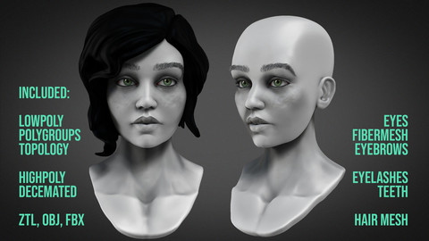 Female Bust 3D model