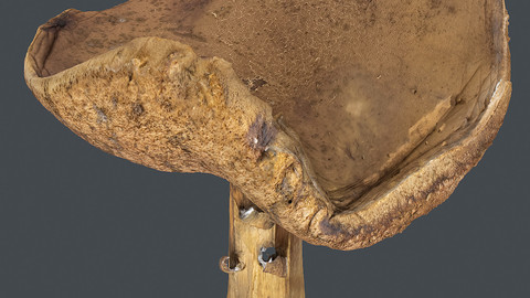 Photoscan_Mushroom_0008_only HighPoly Mesh (16K Texture)