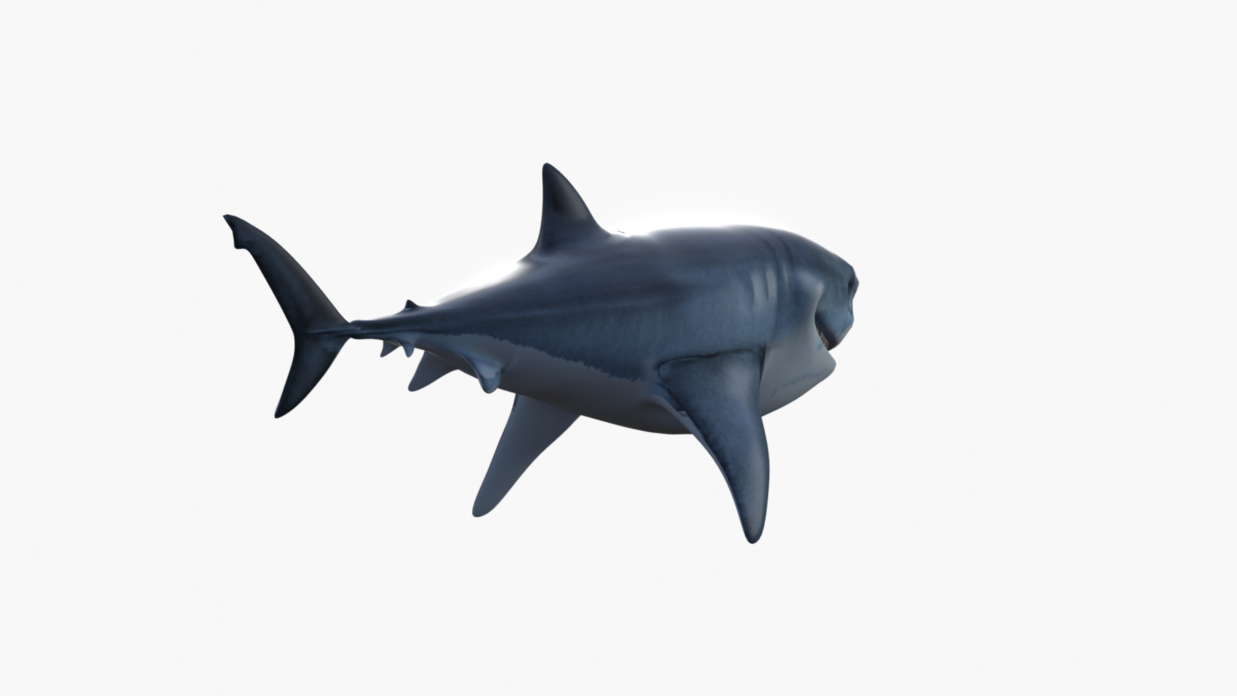 ArtStation - Bruce The Shark | Resources
