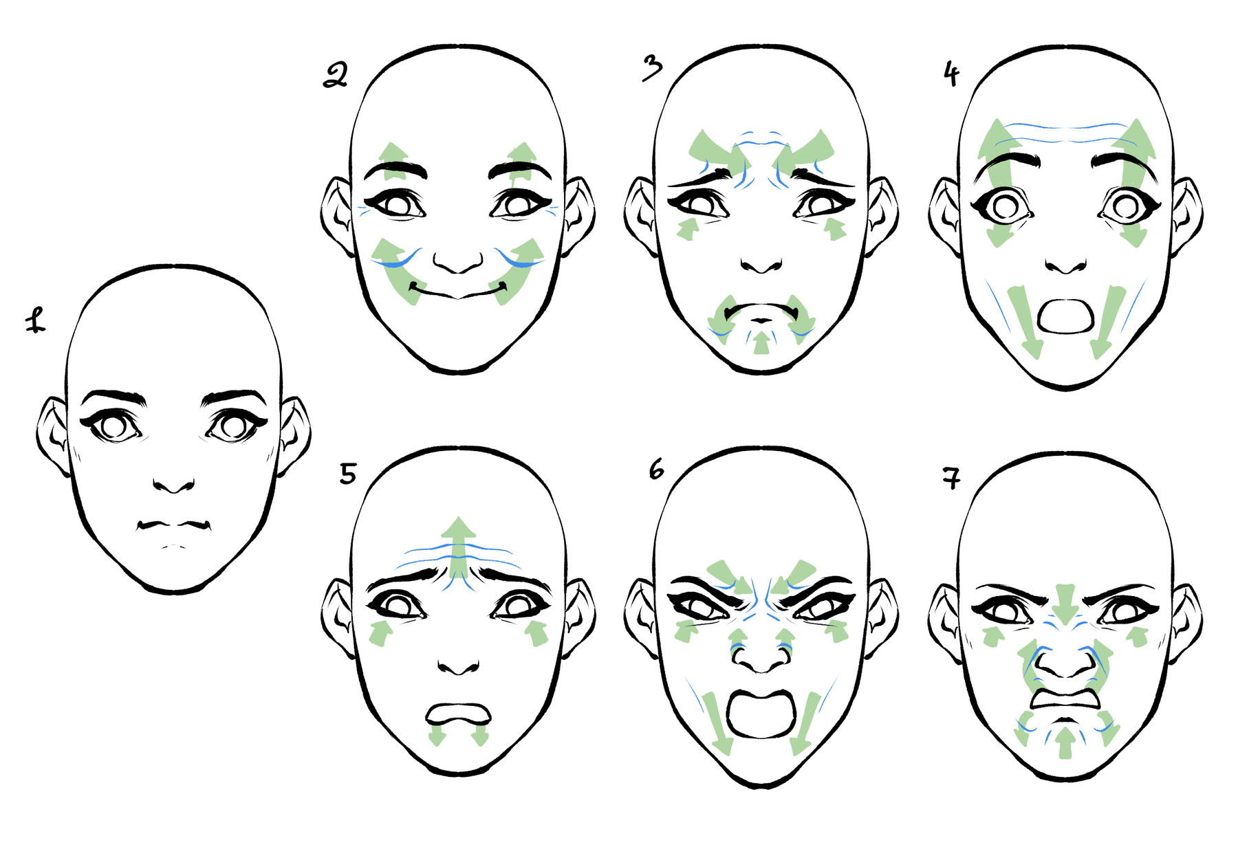 ArtStation Facial anatomy for stylized and realistic style Tutorials