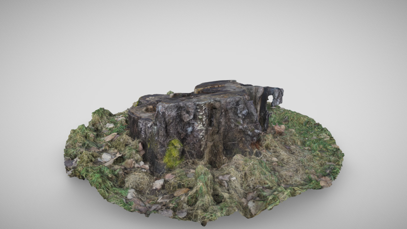 ArtStation - Mossy Stump | Game Assets