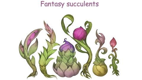 Fantasy  watercolor succulents