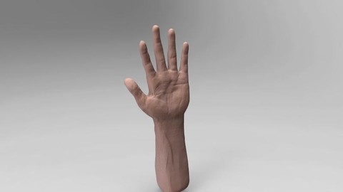 Hand