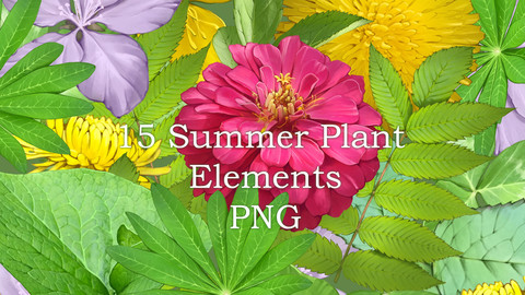 15 PNG summer plant elements