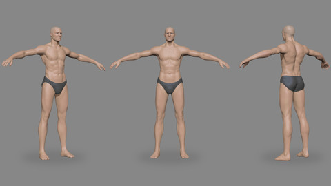 Realistic Basemesh Male