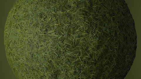 Procedural Grass