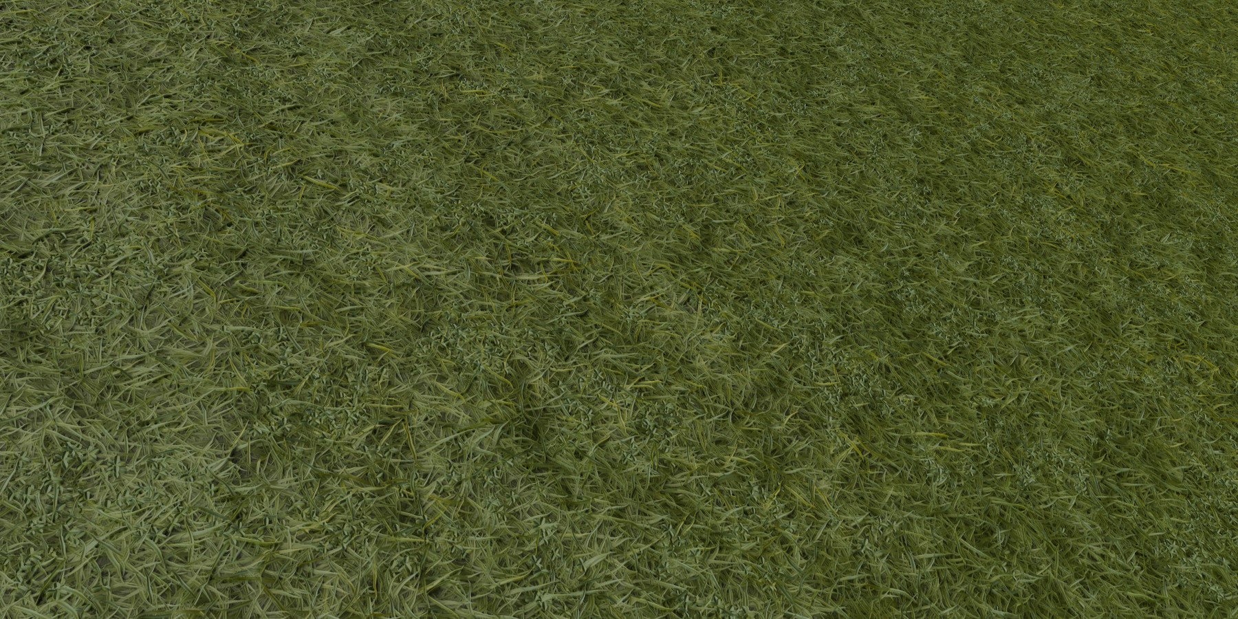 banished the game where does grass come from