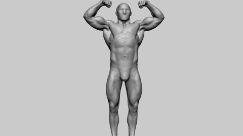 Bodybuilder Anatomy v2