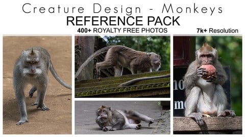 Creature Design Reference Pack - Monkeys