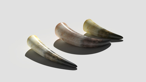 Drinking Horns Pack