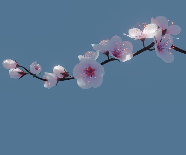 ArtStation - cherry blossom branch | Game Assets