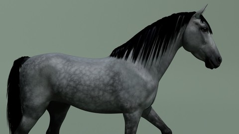 Horse animated + 10 colours