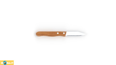 Paring Knife