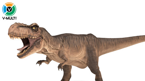 3D Model: Tyrannosaurus Rex Rigged