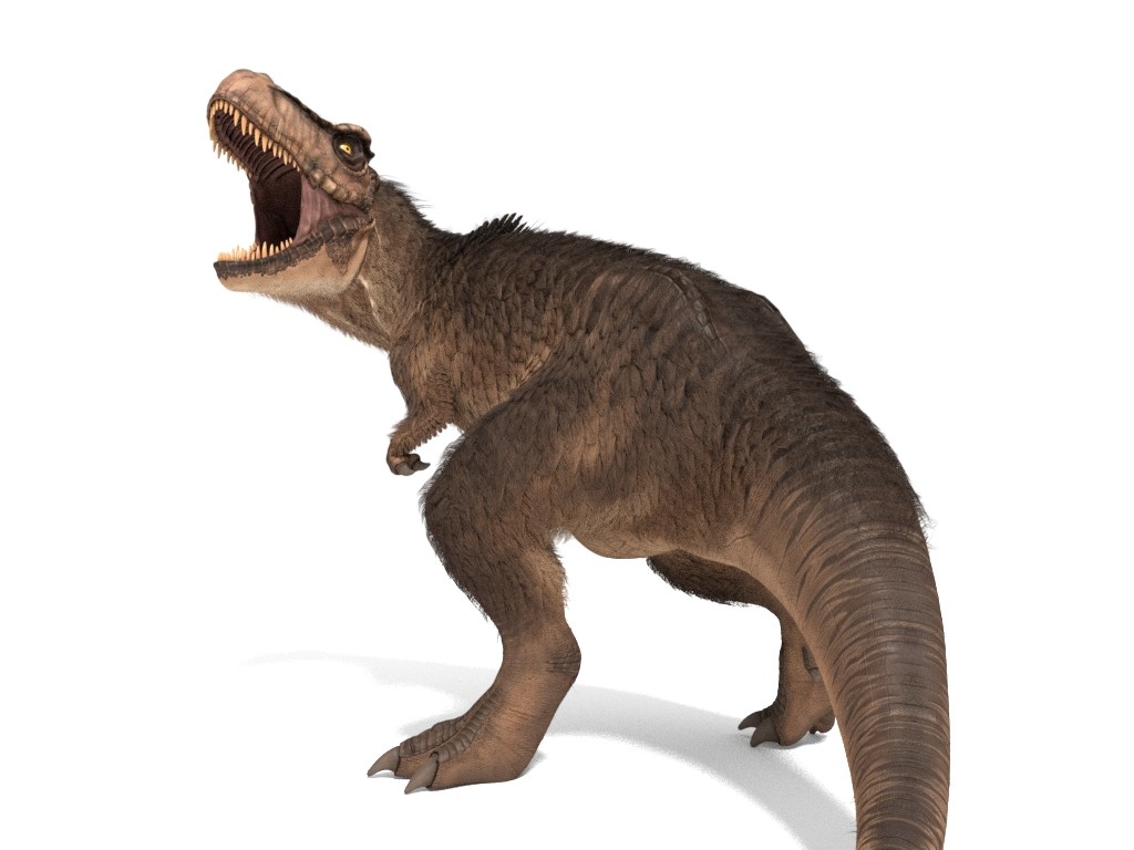 t rex with fur