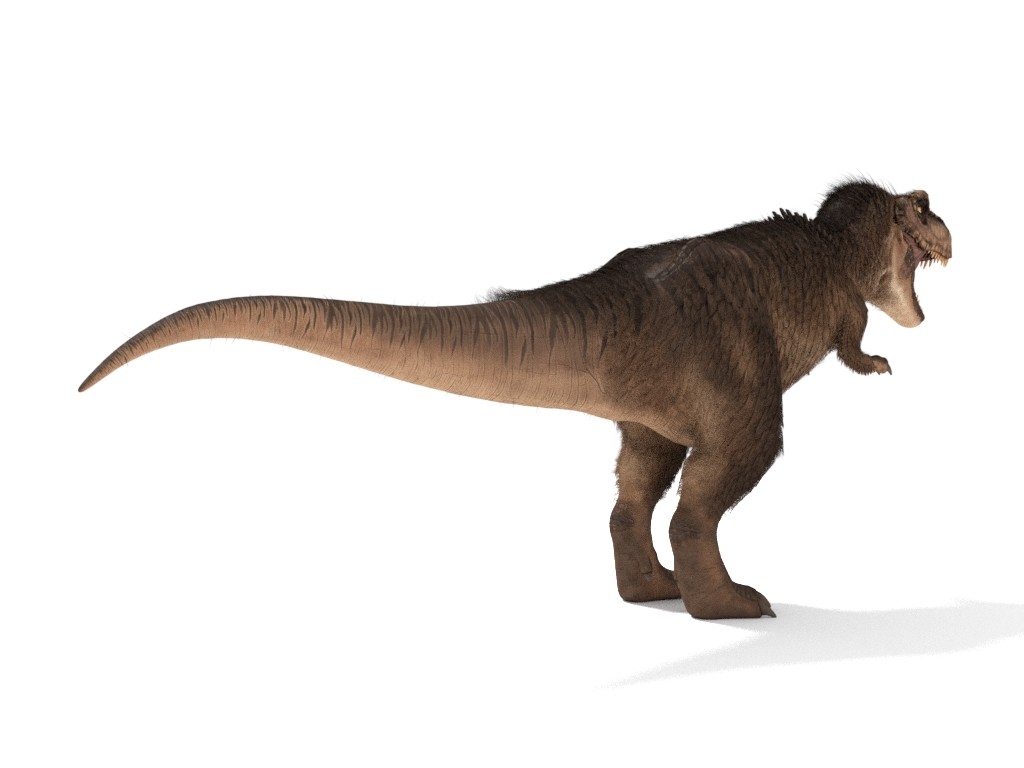 t rex with fur