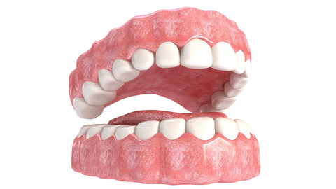 Realistic Mouth teeth