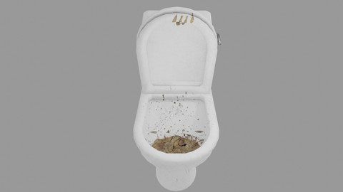Dirty Toilet