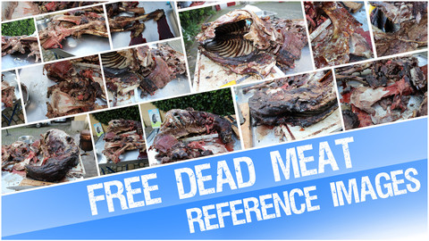 FREE Dead Meat (Reference images)