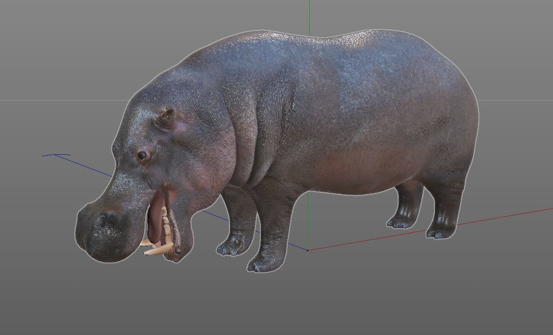 ArtStation Hippo 3D Model Resources