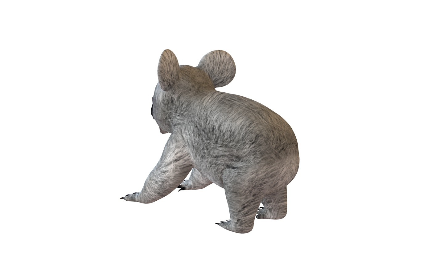 ArtStation Koala 3D Model Resources