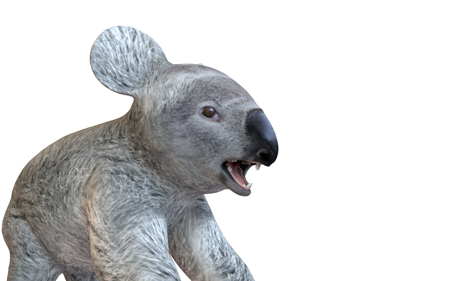 ArtStation Koala 3D Model Resources
