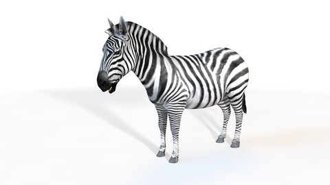 Zebra 3D Model