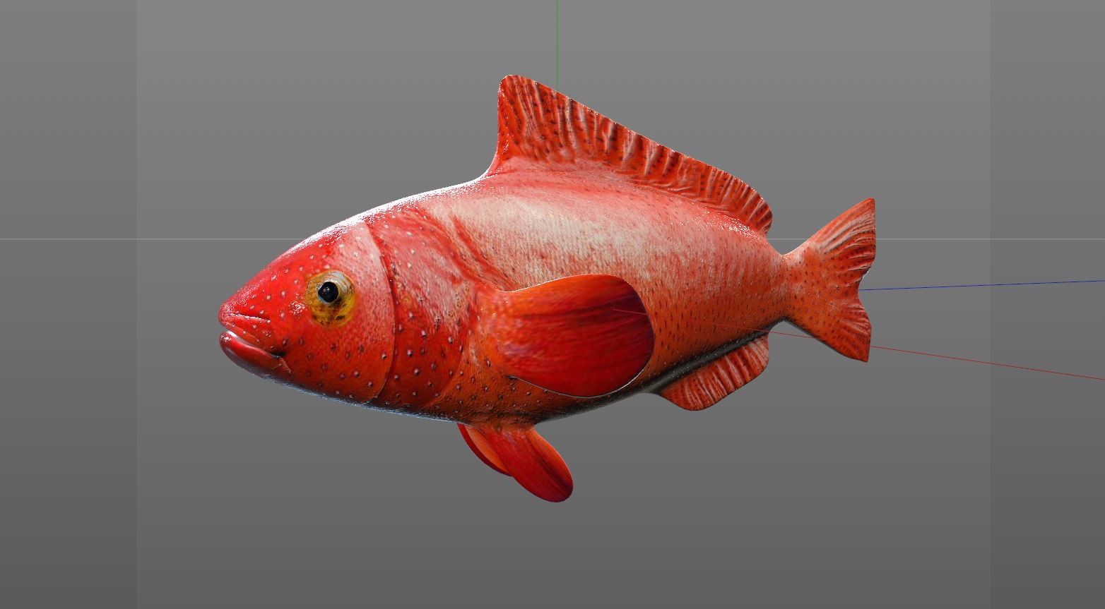 ArtStation - Red Grouper Fish 3D Model